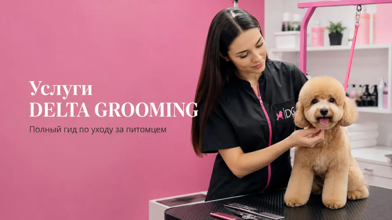 Обложка статьи полный гид по услугам DELTA GROOMING Бендеры