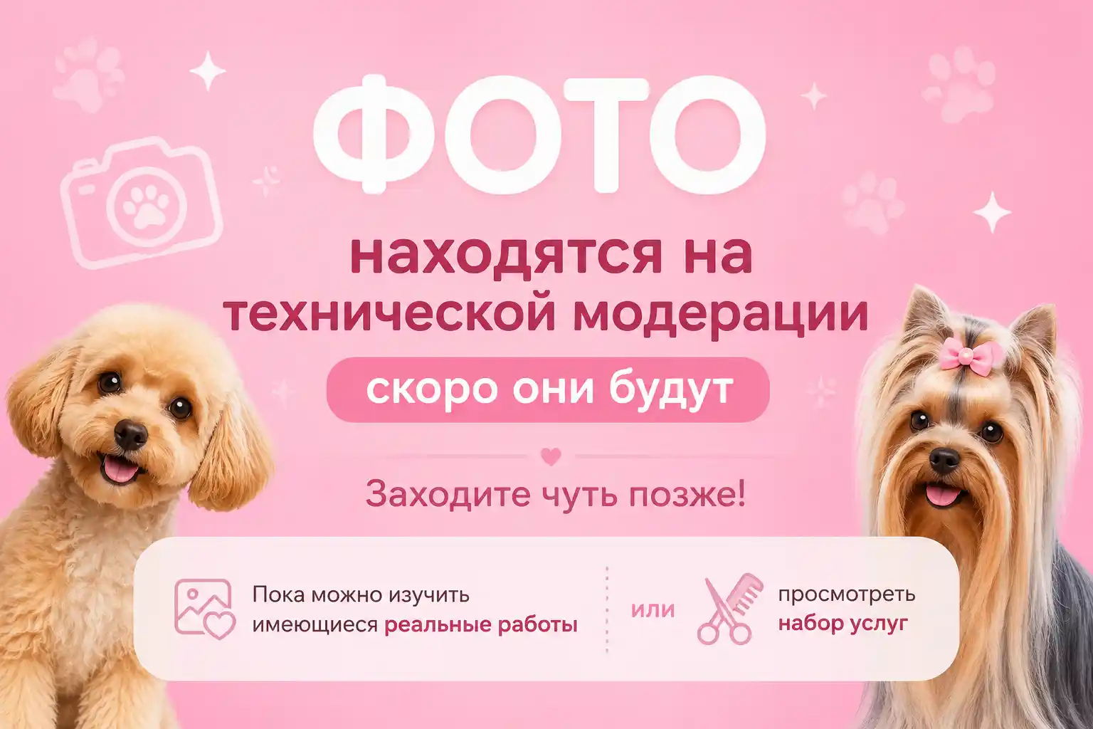 Кот — аккуратный груминг