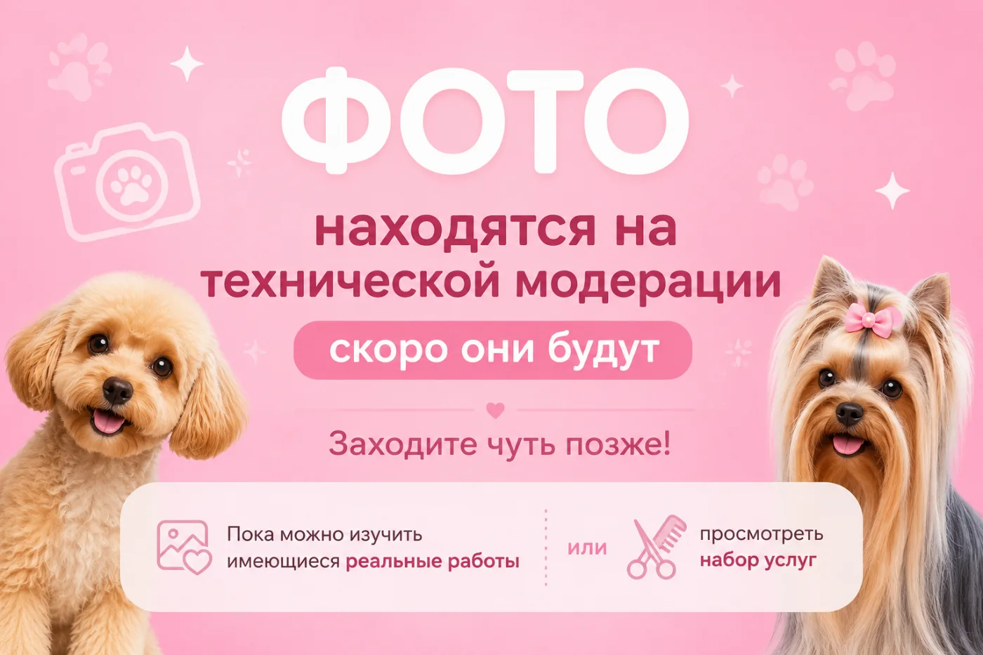 Стрижка и уход за метисом в DELTA GROOMING Бендеры